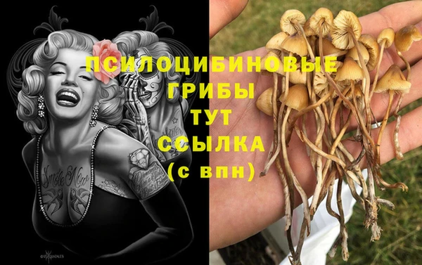 герыч Балашиха