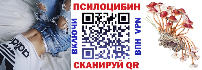 Галлюциногенные грибы Cubensis  закладка  Белая Калитва 